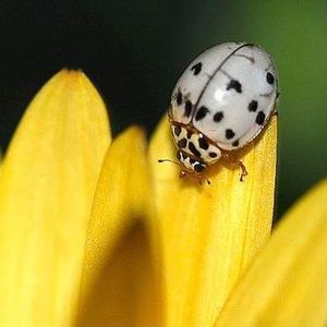 Meet your Posher, Judy